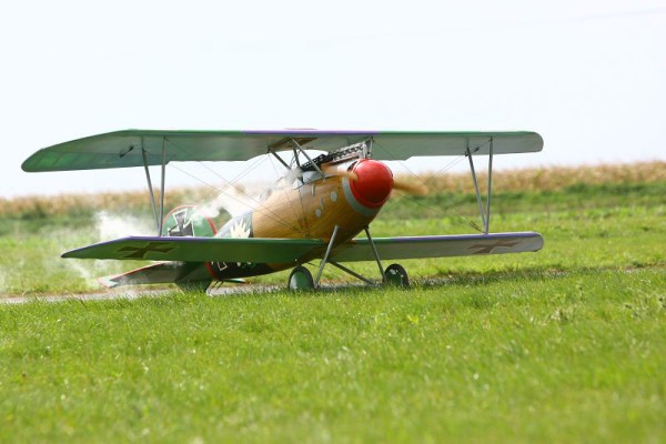září 2007 - Slovensko, Levice