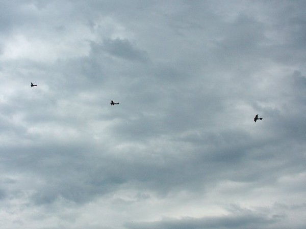 červen 2008 - Bohuňovice