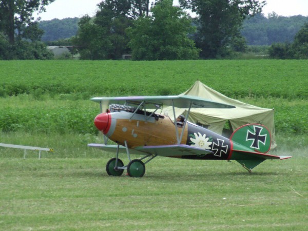 červen 2008 - Rakvice