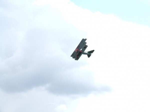 červen 2008 - Rakvice