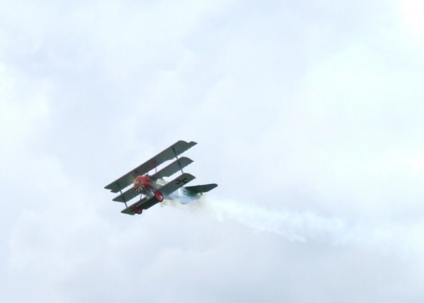 červen 2008 - Rakvice
