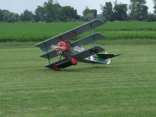 červen 2008 - Rakvice