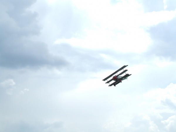 červen 2008 - Rakvice