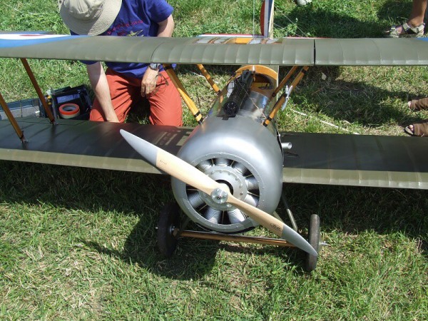 červen 2008 - Rakvice