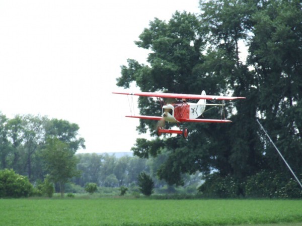 červen 2008 - Rakvice