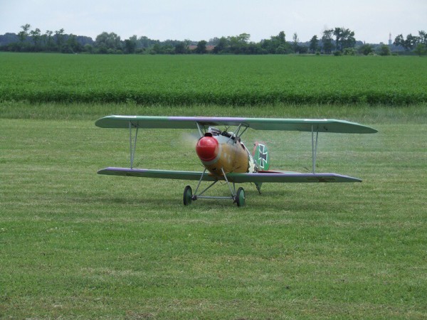 červen 2008 - Rakvice