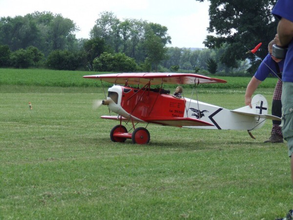 červen 2008 - Rakvice