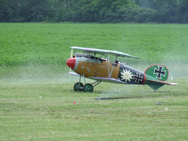červen 2008 - Rakvice