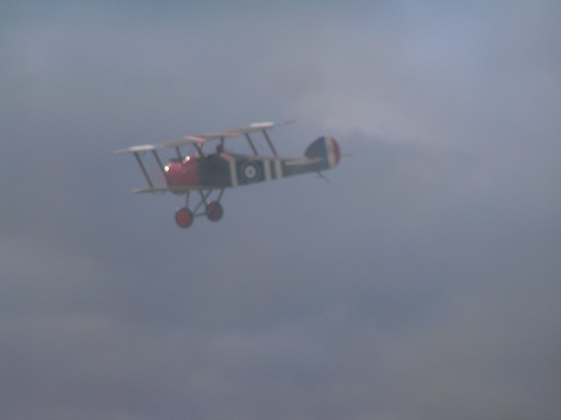 MISKOVICE 2009