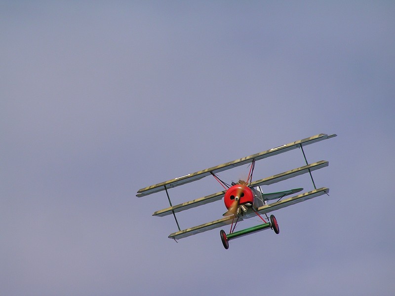 MISKOVICE 2009