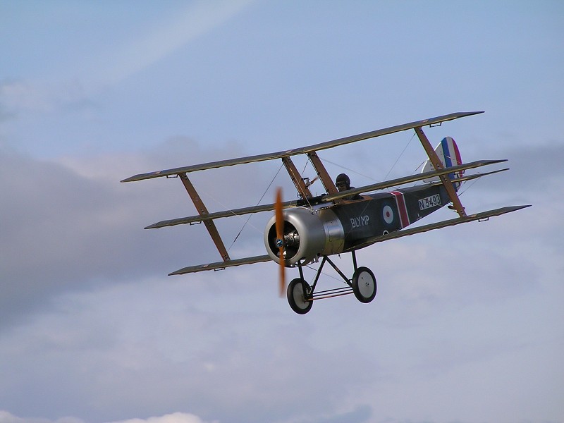 MISKOVICE 2009