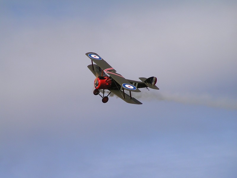 MISKOVICE 2009