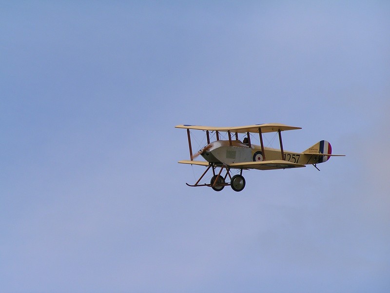MISKOVICE 2009