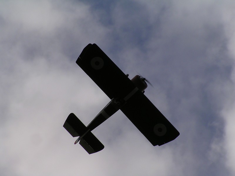 MISKOVICE 2009