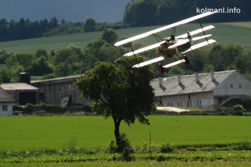 MISKOVICE 2009