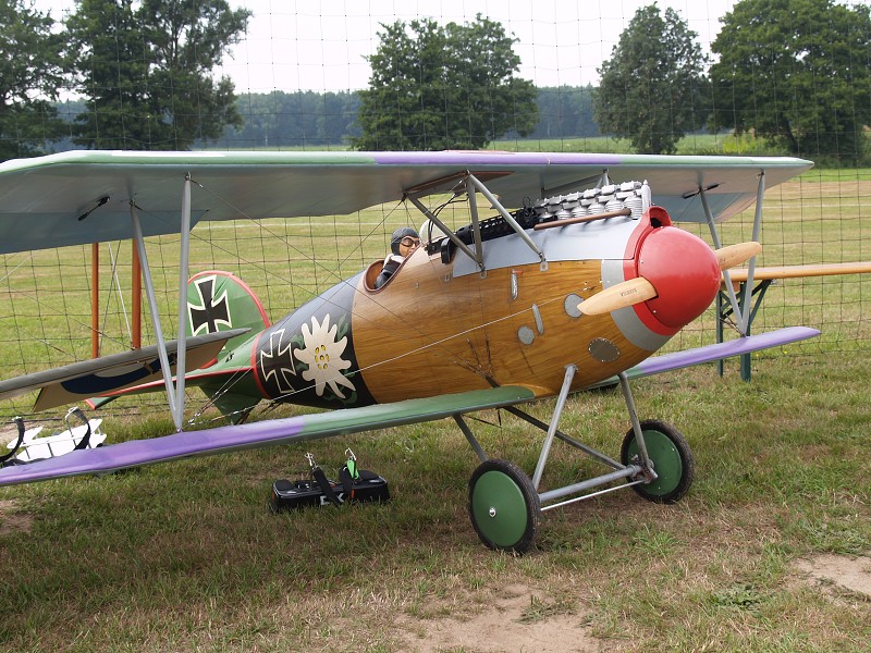 LEHRTE 2009