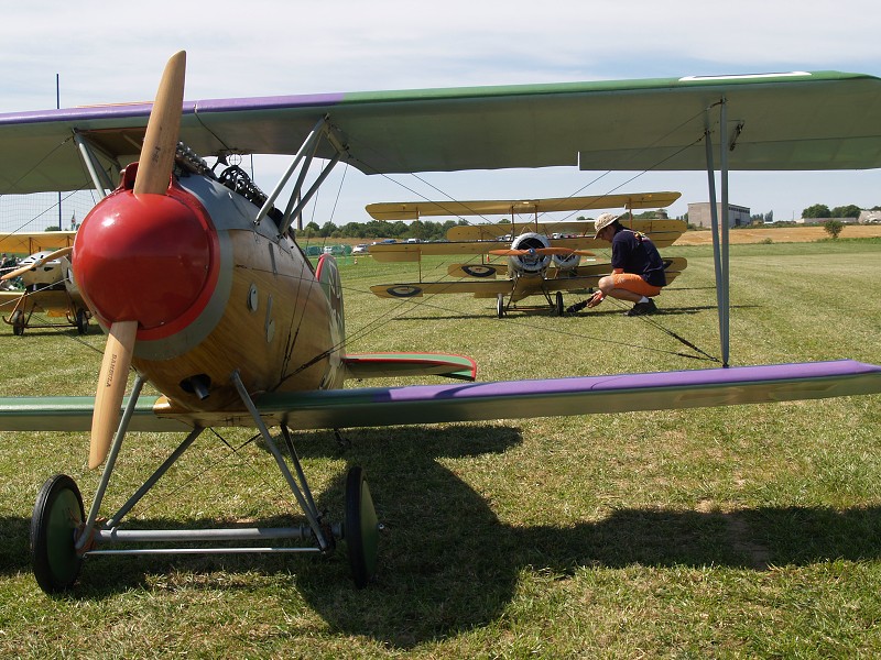 MISKOVICE 2009