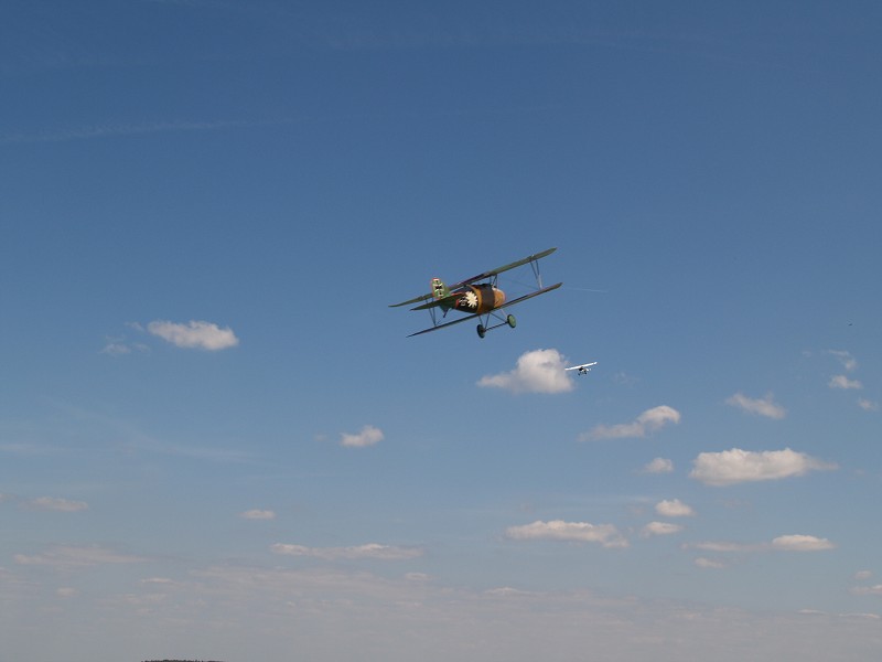 MISKOVICE 2009