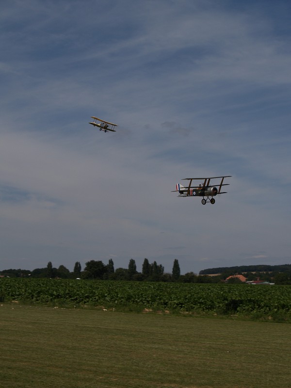 MISKOVICE 2009