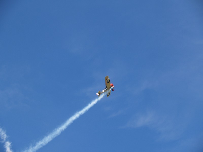 MISKOVICE 2009