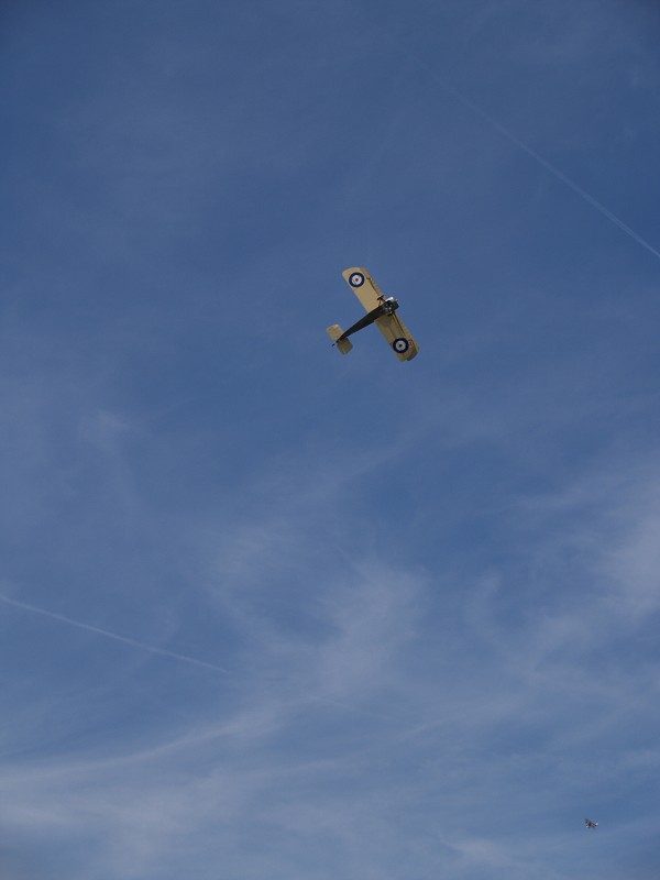 MISKOVICE 2009