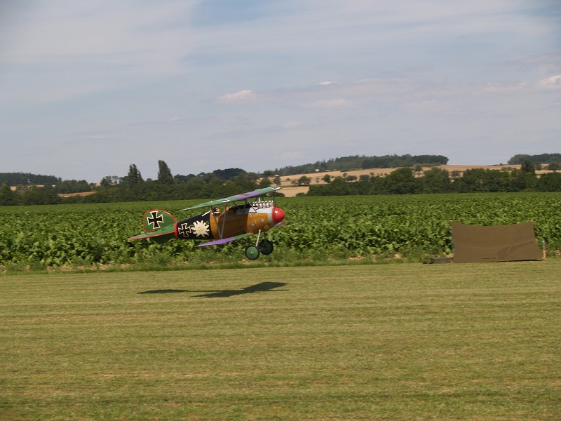 MISKOVICE 2009