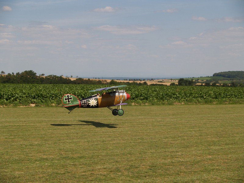 MISKOVICE 2009