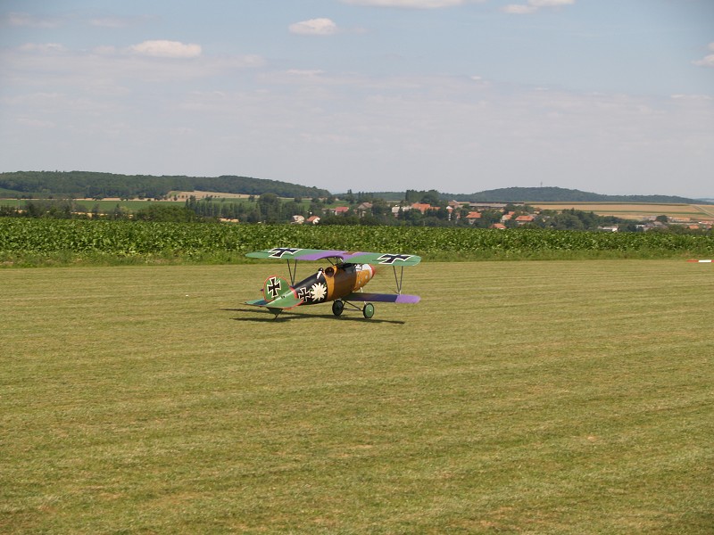MISKOVICE 2009