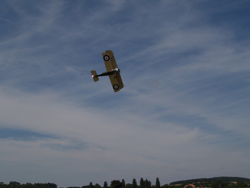 MISKOVICE 2009