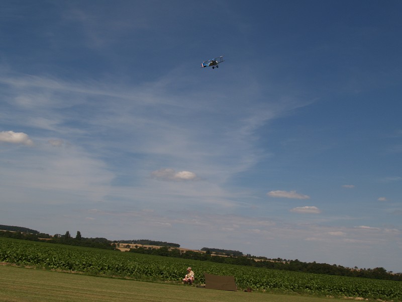 MISKOVICE 2009