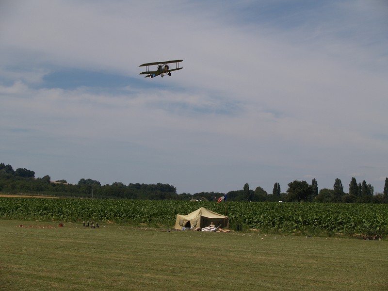 MISKOVICE 2009